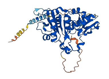 Sec1 3D structure