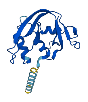 Ear1 3D structure