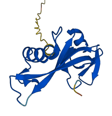 Ang3 3D structure