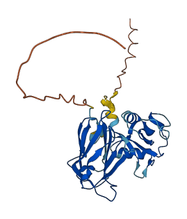 TNFAIP6 3D structure