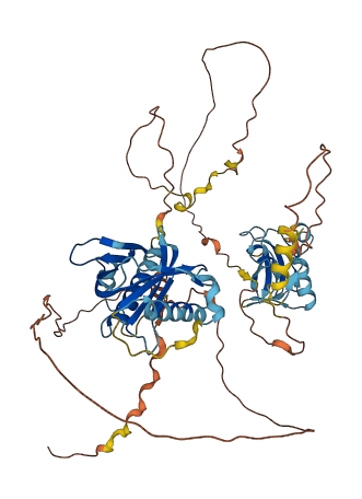 SHC2 3D structure