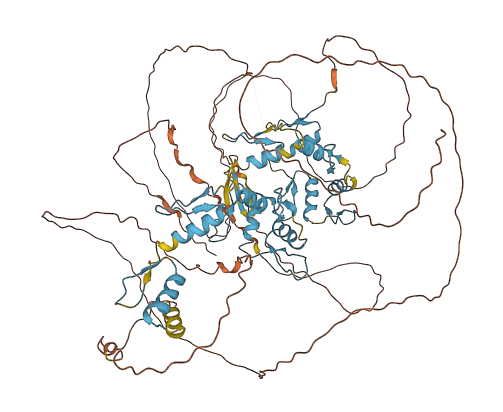 ZXDB 3D structure