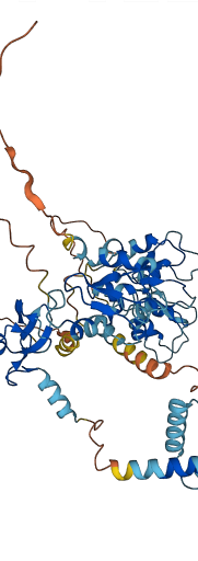 XIAP 3D structure