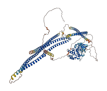 ARHGAP4 3D structure