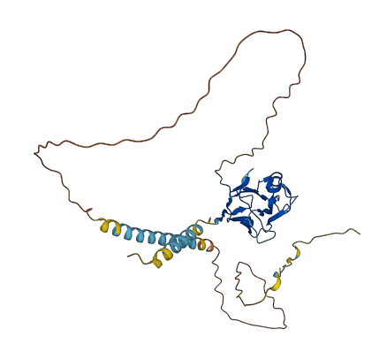 EFNB1 3D structure