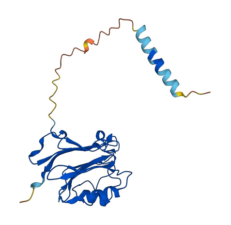 FAM3A 3D structure