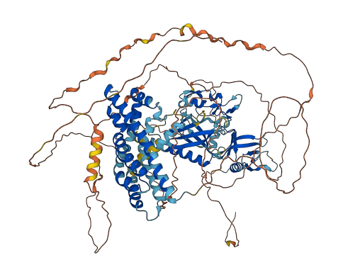FGD1 3D structure