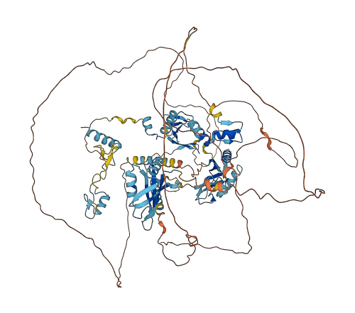 RBM10 3D structure