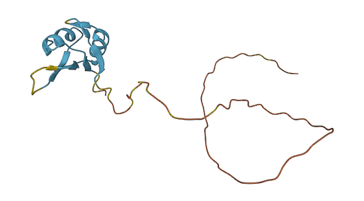RBM3 3D structure