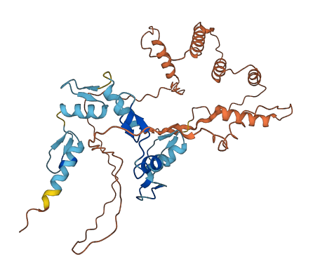 ZNF200 3D structure
