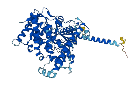CYP4F8 3D structure