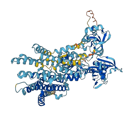 ATP2C1 3D structure