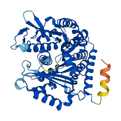 Tubb5 3D structure