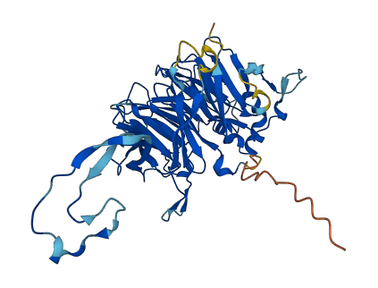 PPP2R2B 3D structure