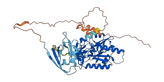 MPP1 3D structure