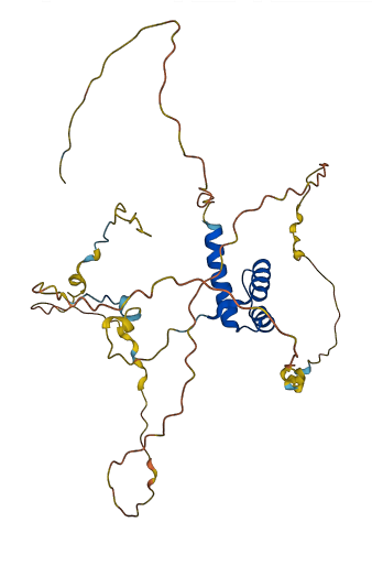 HOXA4 3D structure