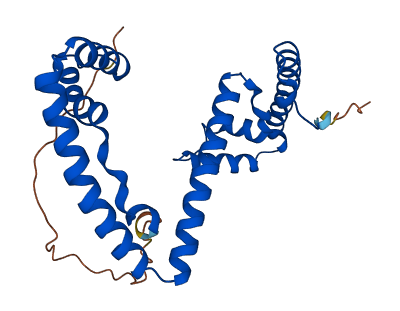 TFAM 3D structure