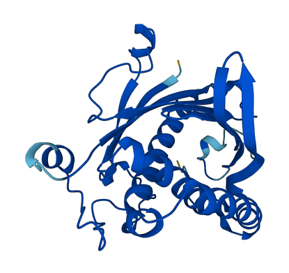 PITPNA 3D structure