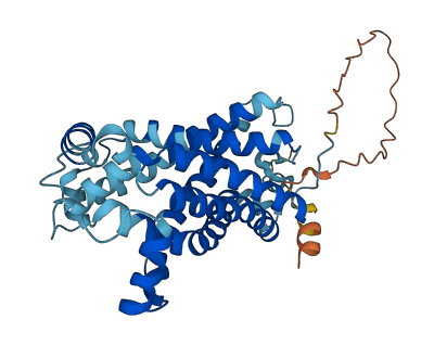 SLC25A3 3D structure