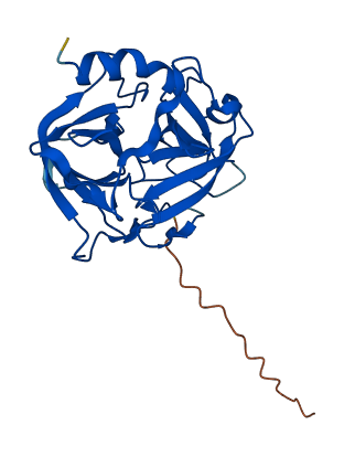 Mcptl 3D structure