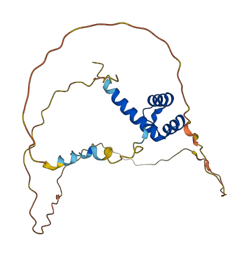 HOXC5 3D structure