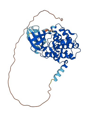 CDKL1 3D structure