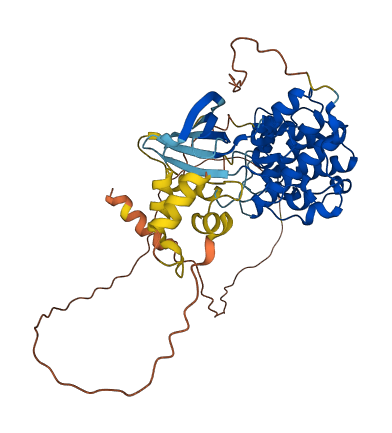 CDK16 3D structure