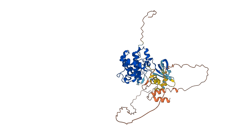 CDK17 3D structure