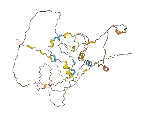 CDC42EP1 3D structure