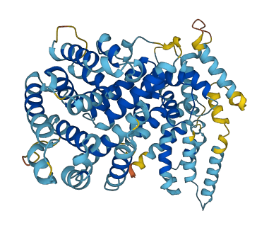 FANCC 3D structure