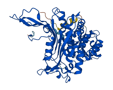 G6pdx 3D structure