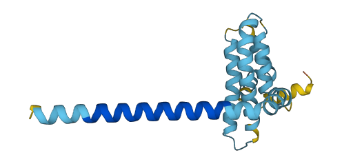 REEP5 3D structure
