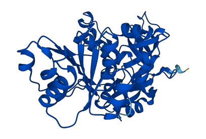 SORD 3D structure