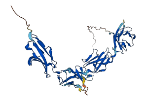 PSG9 3D structure
