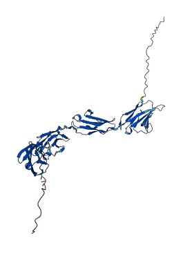 PSG6 3D structure