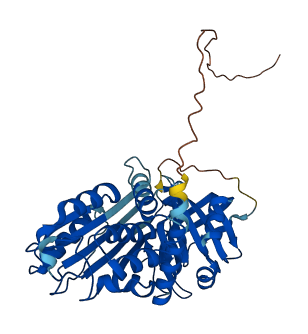 Serpina1c 3D structure