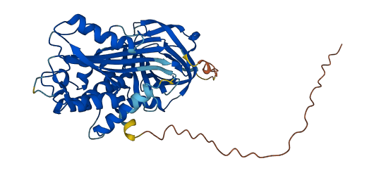 Serpina1d 3D structure