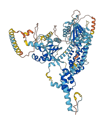 ECT2L 3D structure