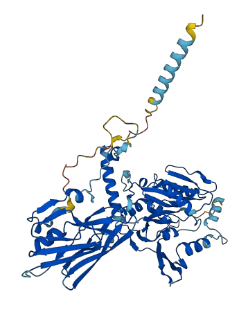 B4GALNT1 3D structure