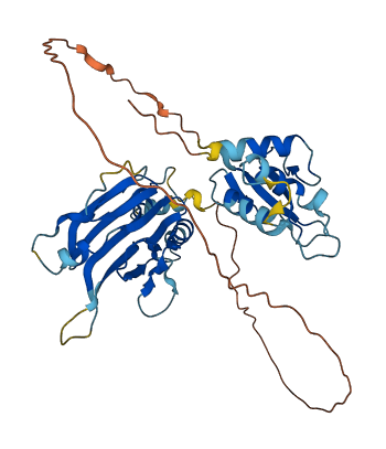 IRF9 3D structure