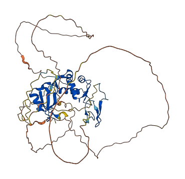 MDM2 3D structure