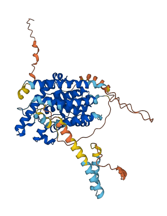 PDE1B 3D structure