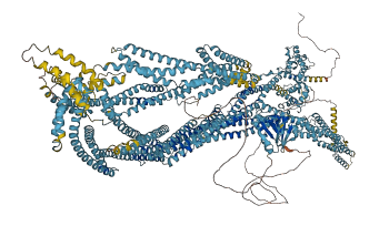 SPTBN1 3D structure