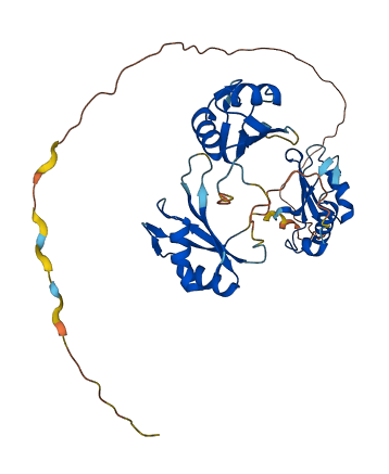 TIAL1 3D structure
