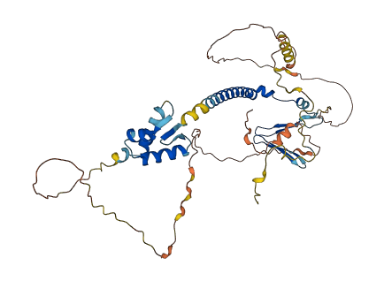 E2F1 3D structure