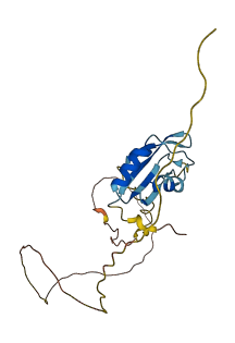 SRSF2 3D structure