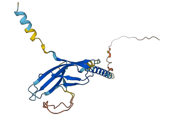 CD83 3D structure