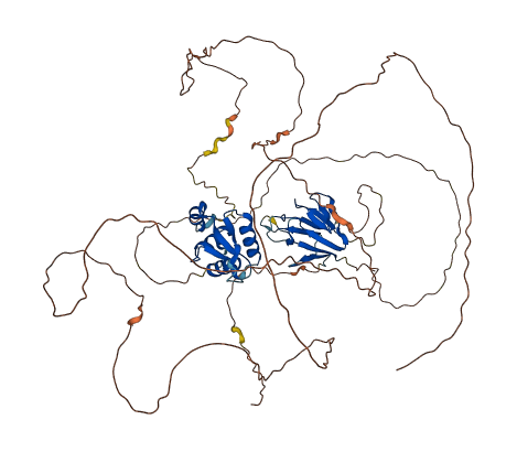 FOXK2 3D structure