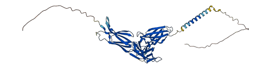 IL5RA 3D structure