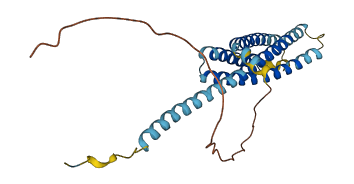 MS4A2 3D structure